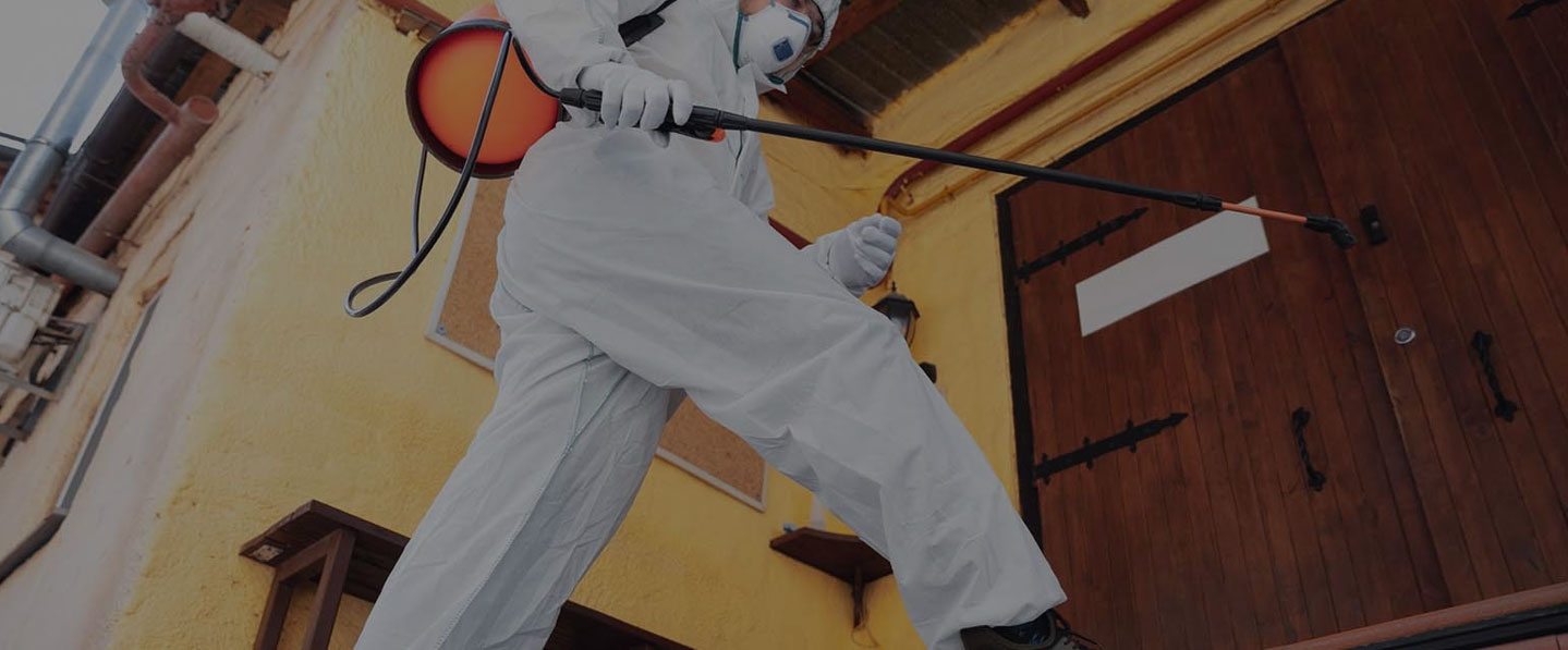 Swift Pest Removal 