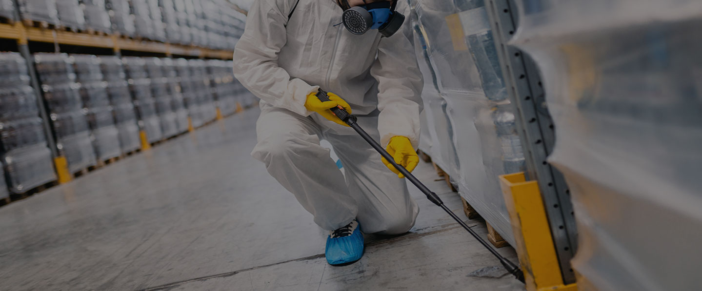Swift Pest Removal