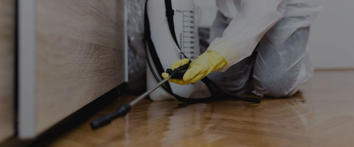 Swift Pest Removal 